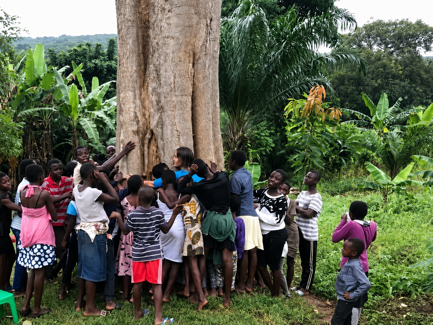 Children learning about conservation around a large tree in a forest community